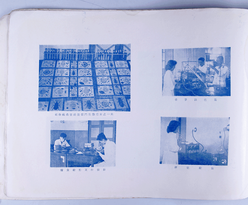 檢驗統計要覽 第一輯